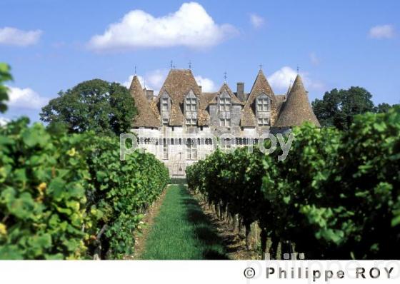 Le vignoble de Dordogne (24V00311.jpg)