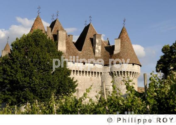 Le vignoble de Dordogne (24V00320.jpg)