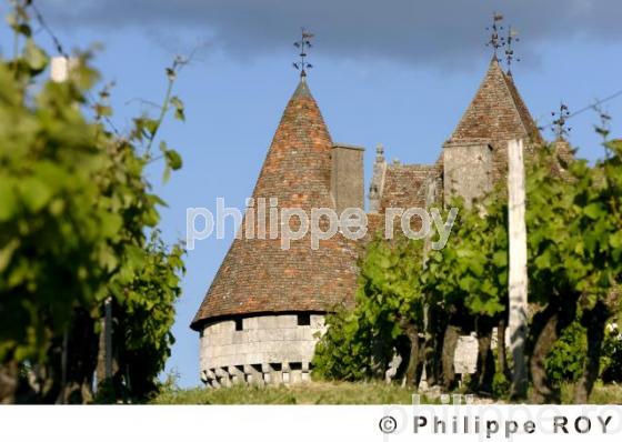 Le vignoble de Dordogne (24V00321.jpg)