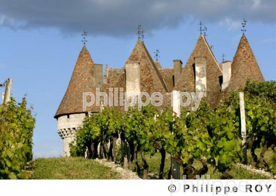 Le vignoble de Dordogne (24V00322.jpg)