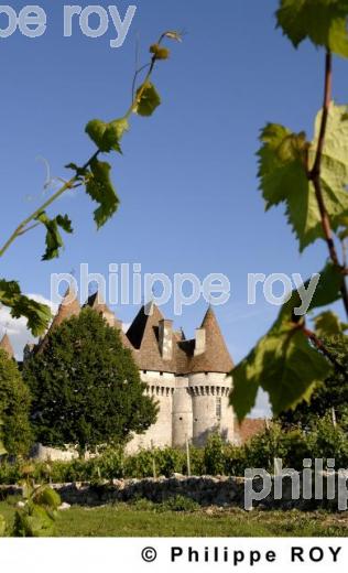Le vignoble de Dordogne (24V00324.jpg)