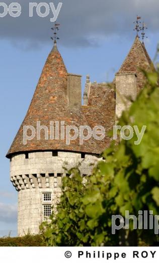 Le vignoble de Dordogne (24V00325.jpg)