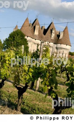 Le vignoble de Dordogne (24V00326.jpg)