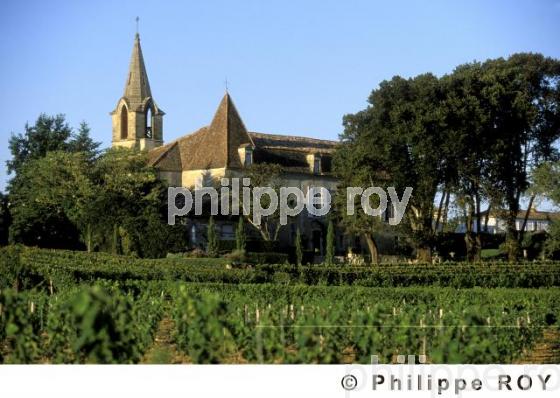 Le vignoble de Dordogne (24V00336.jpg)