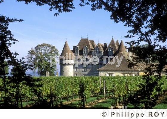 Le vignoble de Dordogne (24V00337.jpg)