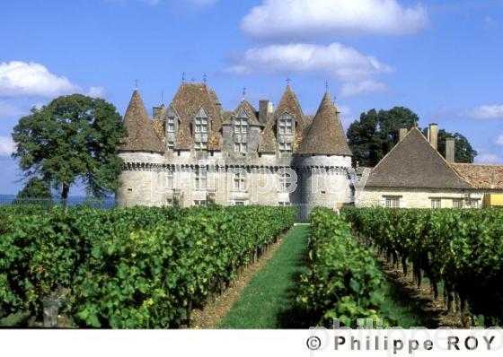 Le vignoble de Dordogne (24V00339.jpg)