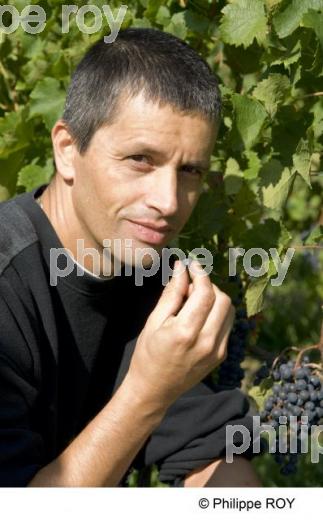 Le vignoble de Bergerac (24V00418.jpg)