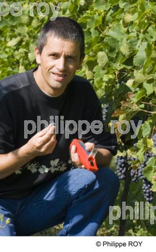 Le vignoble de Bergerac (24V00420.jpg)