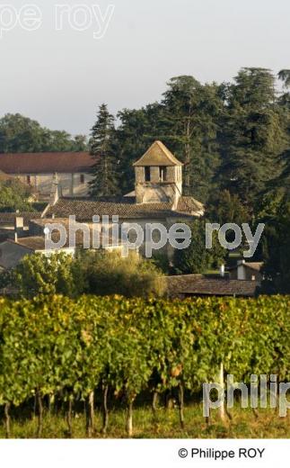 Le vignoble de Bergerac (24V00428.jpg)