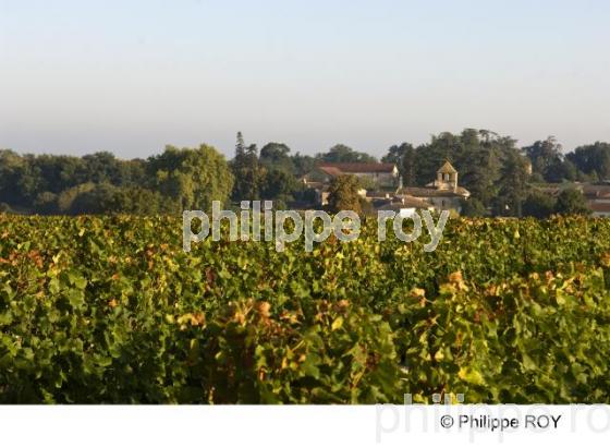 Le vignoble de Bergerac (24V00429.jpg)