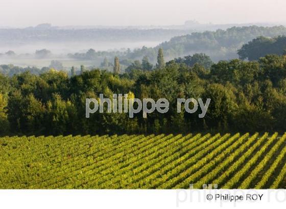 Le vignoble de Bergerac (24V00433.jpg)