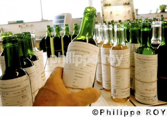 Les vins de la Dordogne (24v00128.jpg)