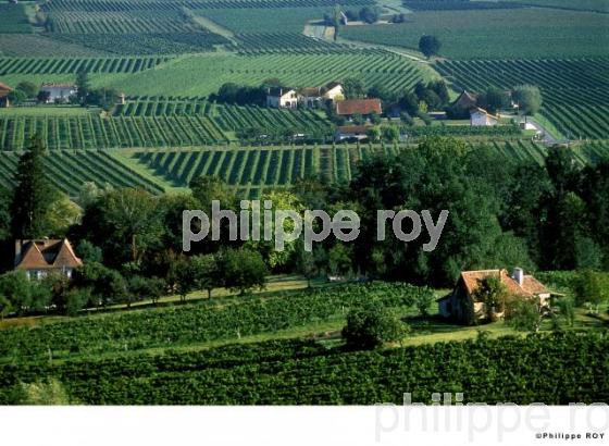 Vignoble de Bergerac (24v00139.jpg)