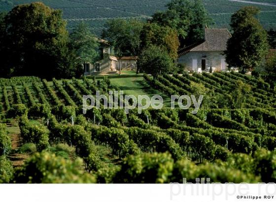 Vignoble de Bergerac (24v00201.jpg)