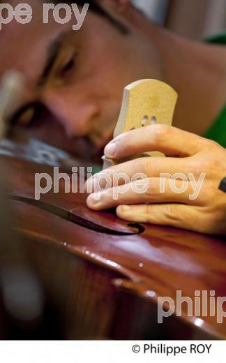 ATELIER DE LUTHERIE, BESANCON, DOUBS, FRANCE (25F00302.jpg)