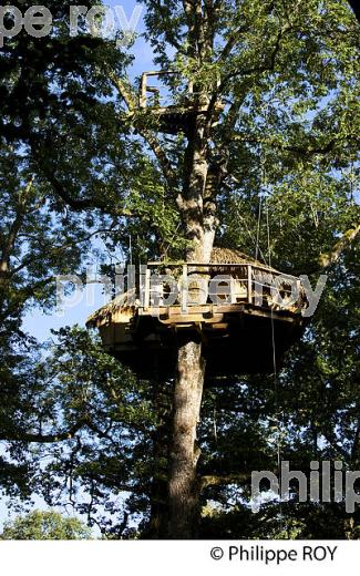 CABANE DANS UN ARBRE, VALLEE DE L'OGNON, DOUBS, FRANCE (25F01012.jpg)