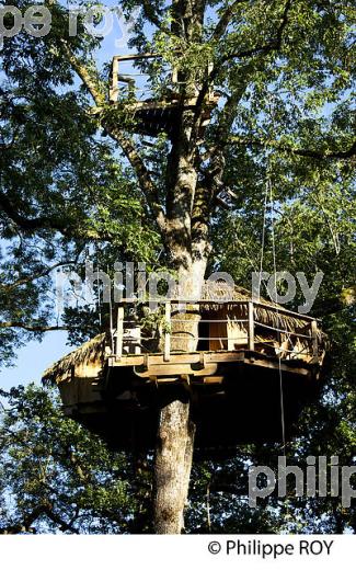 CABANE DANS UN ARBRE, VALLEE DE L'OGNON, DOUBS, FRANCE (25F01013.jpg)