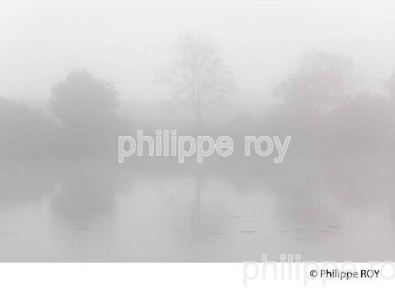 BRUME SUR LA RIVIERE L'OGNON, DOUBS, FRANCE (25F01033.jpg)