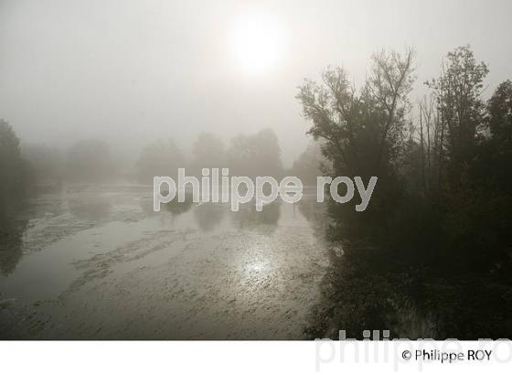 BRUME SUR LA RIVIERE L'OGNON, DOUBS, FRANCE (25F01035.jpg)