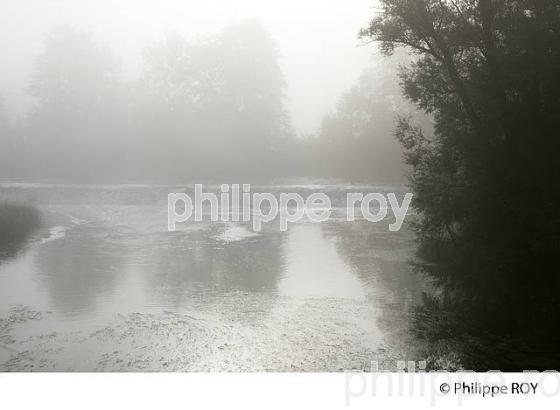 BRUME SUR LA RIVIERE L'OGNON, DOUBS, FRANCE (25F01036.jpg)