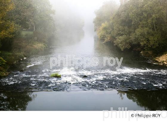 BRUME SUR LA RIVIERE L'OGNON, DOUBS, FRANCE (25F01037.jpg)