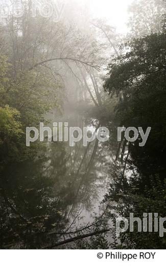 BRUME SUR LA RIVIERE L'OGNON, DOUBS, FRANCE (25F01101.jpg)