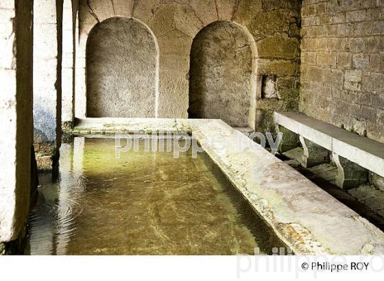 FONTINE LAVOIR, VALLEE DE L'OGNON, DOUBS, FRANCE (25F01104.jpg)