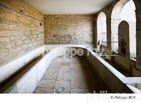 FONTINE LAVOIR, VALLEE DE L'OGNON, DOUBS, FRANCE (25F01105.jpg)