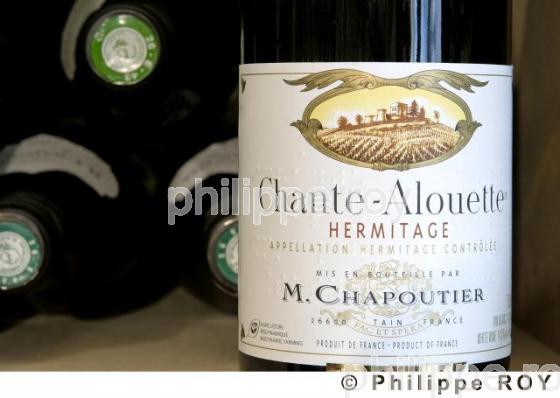 Le vignoble des Ctes du Rhne (26V00120.jpg)