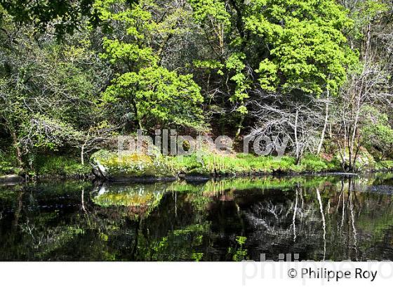 LES ROCHES DU DIABLE, FINISTERE, BRETAGNE. (29F00116.jpg)