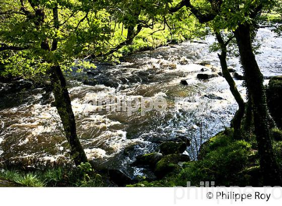 LES ROCHES DU DIABLE, FINISTERE, BRETAGNE. (29F00120.jpg)