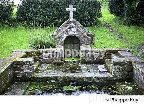 FONTAINE LAVOIR, COMBRIT,  FINISTERE, BRETAGNE. (29F00212.jpg)
