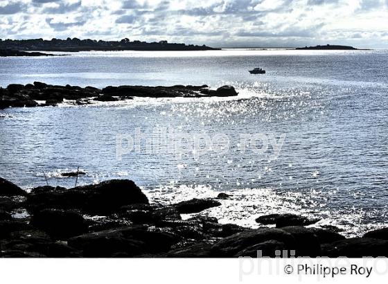 POINTE DE TREVIGNON, SENTIER DU LITTORAL, FINISTERE, BRETAGNE. (29F00227.jpg)