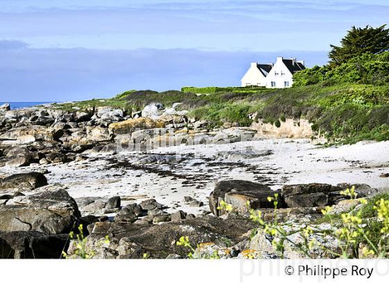 POINTE DE TREVIGNON, SENTIER DU LITTORAL, FINISTERE, BRETAGNE. (29F00229.jpg)