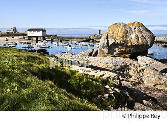 POINTE DE TREVIGNON, SENTIER DU LITTORAL, FINISTERE, BRETAGNE. (29F00304.jpg)