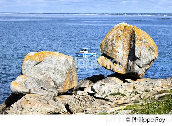 POINTE DE TREVIGNON, SENTIER DU LITTORAL, FINISTERE, BRETAGNE. (29F00306.jpg)