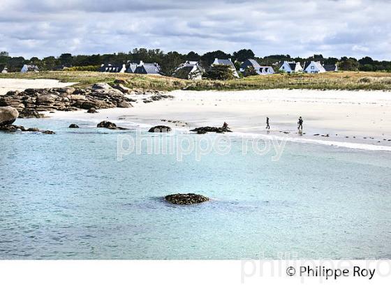 POINTE DE TREVIGNON, SENTIER DU LITTORAL, FINISTERE, BRETAGNE. (29F00312.jpg)