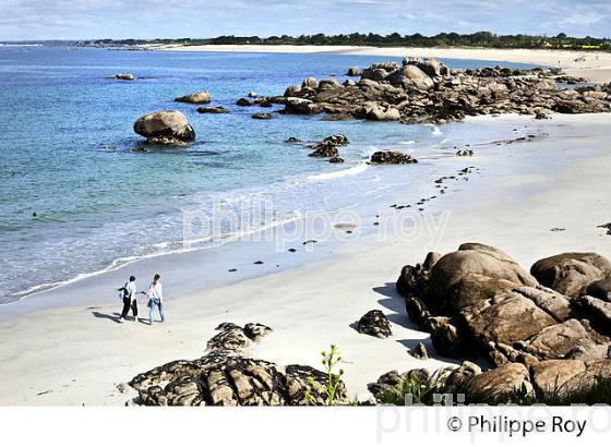 POINTE DE TREVIGNON, SENTIER DU LITTORAL, FINISTERE, BRETAGNE. (29F00314.jpg)