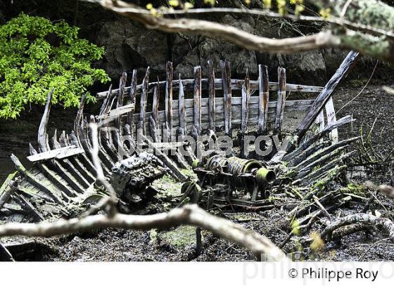LA RIA  DE BELON, SENTIER DU LITTORAL, FINISTERE, BRETAGNE. (29F00332.jpg)