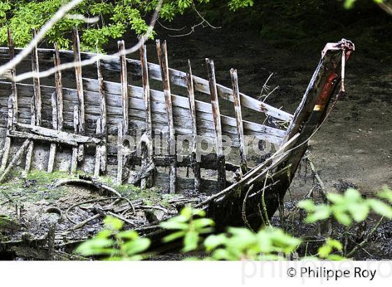LA RIA  DE BELON, SENTIER DU LITTORAL, FINISTERE, BRETAGNE. (29F00333.jpg)