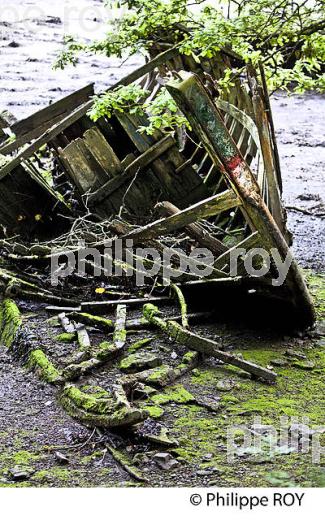 LA RIA  DE BELON, SENTIER DU LITTORAL, FINISTERE, BRETAGNE. (29F00339.jpg)
