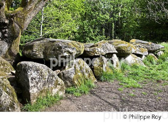 LA RIA  DE BELON, SENTIER DU LITTORAL, FINISTERE, BRETAGNE. (29F00403.jpg)
