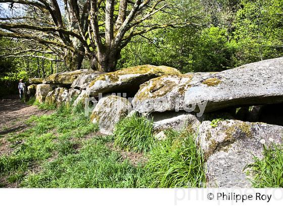 LA RIA  DE BELON, SENTIER DU LITTORAL, FINISTERE, BRETAGNE. (29F00406.jpg)