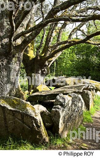 LA RIA  DE BELON, SENTIER DU LITTORAL, FINISTERE, BRETAGNE. (29F00408.jpg)