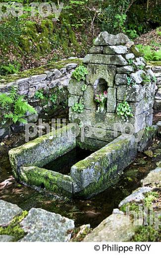 LA RIA  DE BELON, SENTIER DU LITTORAL, FINISTERE, BRETAGNE. (29F00409.jpg)