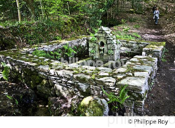 LA RIA  DE BELON, SENTIER DU LITTORAL, FINISTERE, BRETAGNE. (29F00410.jpg)