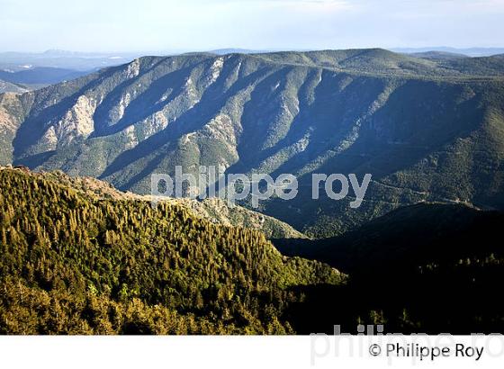 PAYSAGE SUR LE SUD- EST  DES CEVENNES DEPUIS LE   MONT AIGOUAL , GARD, LANGUEDOC. (30F00137.jpg)