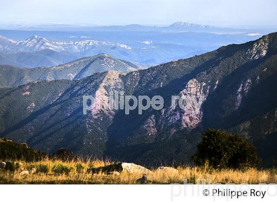 PAYSAGE SUR LE SUD- EST  DES CEVENNES DEPUIS LE   MONT AIGOUAL , GARD, LANGUEDOC. (30F00139.jpg)