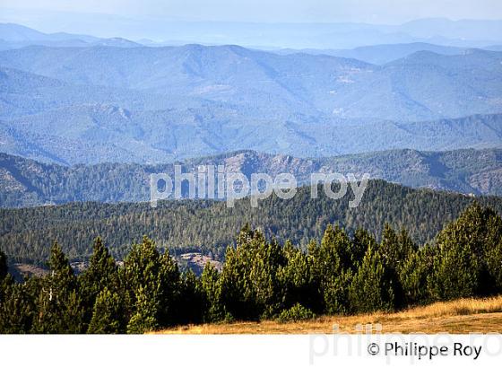 PAYSAGE SUR LE NORD  DES CEVENNES DEPUIS LE   MONT AIGOUAL , GARD, LANGUEDOC. (30F00140.jpg)