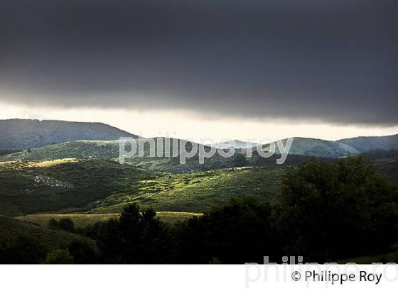 PAYSAGE SUR LA MASSIF DE L' AIGOUAL AU MATIN , GARD, LANGUEDOC. (30F00202.jpg)